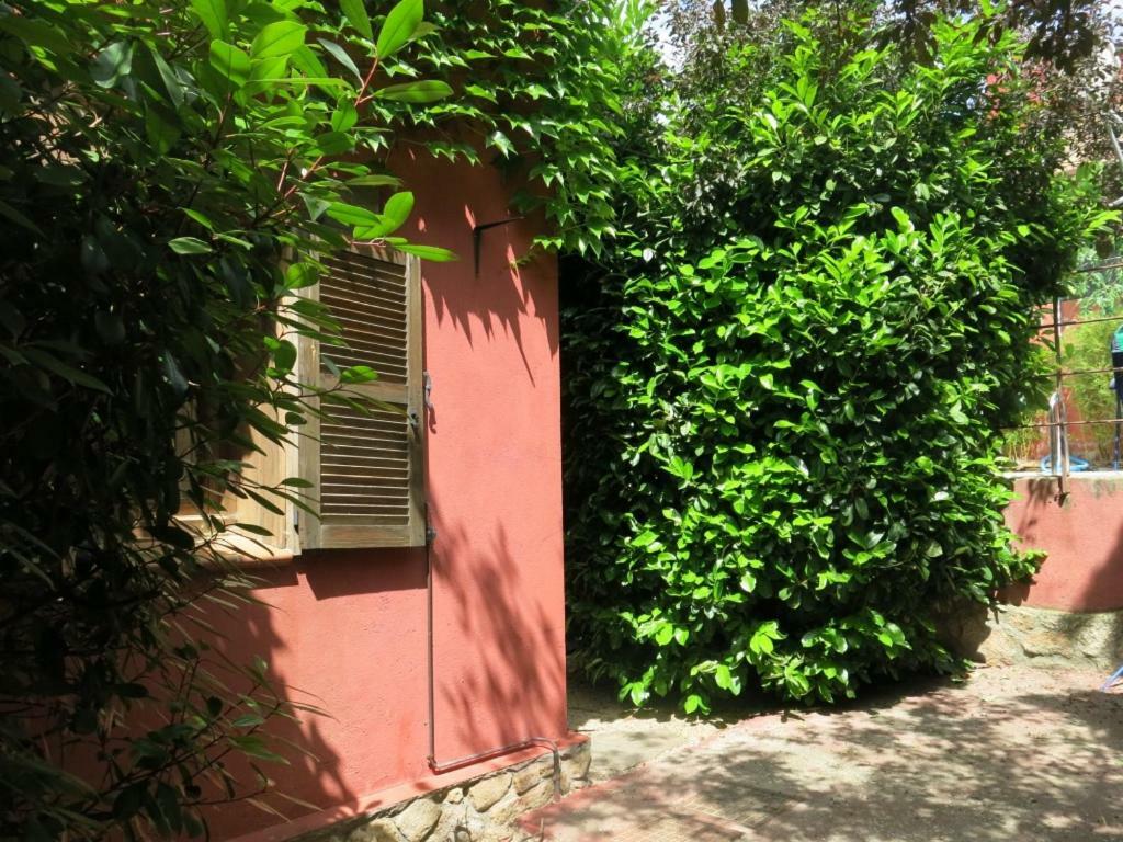 Chalet Navacerrada Piscina Privada 外观 照片