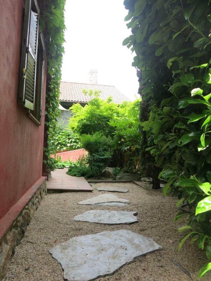 Chalet Navacerrada Piscina Privada 外观 照片