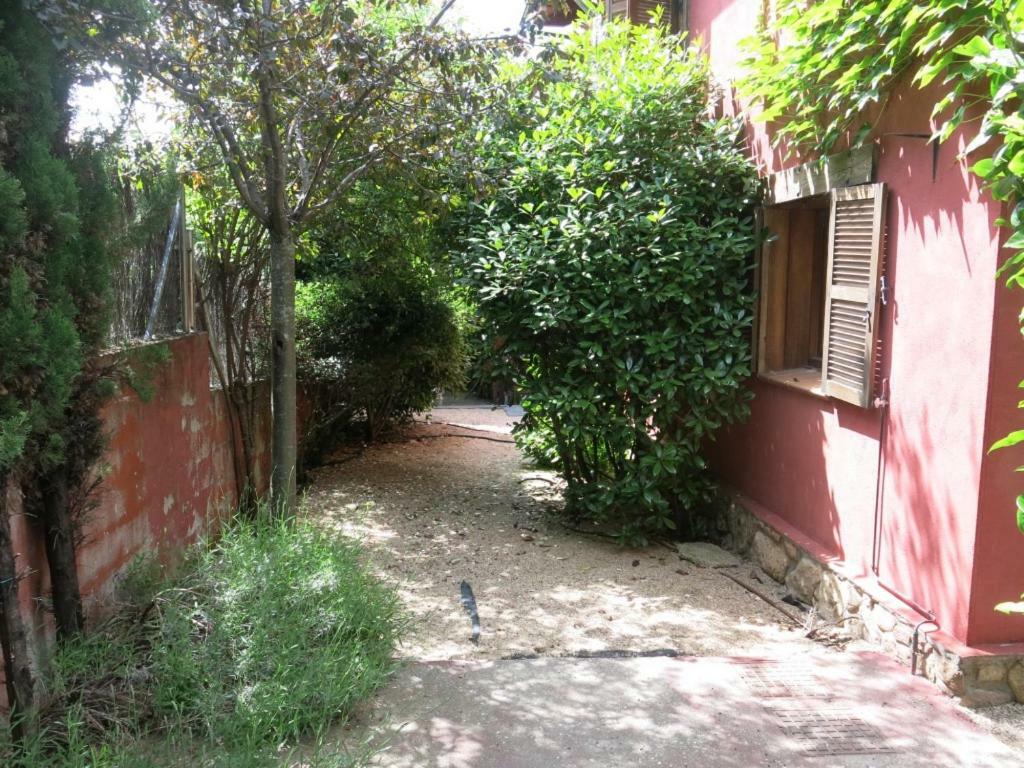 Chalet Navacerrada Piscina Privada 外观 照片